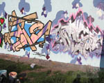 MISTIE