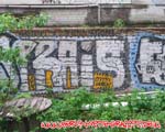 PRAIS